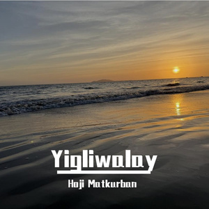 搡BBB上海少妇搡BBB3
