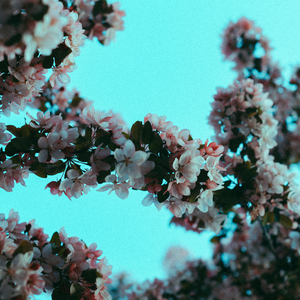 搡BBB上海少妇搡BBB3
