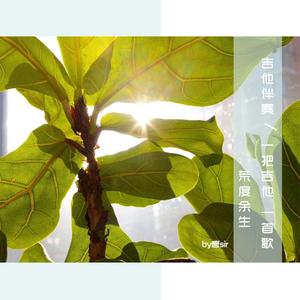 搡BBB上海少妇搡BBB3
